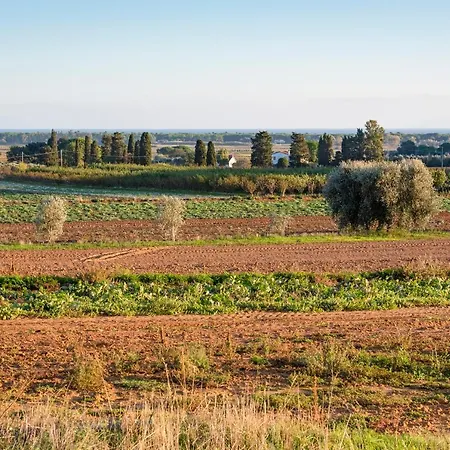 Terre Di Castiglione *