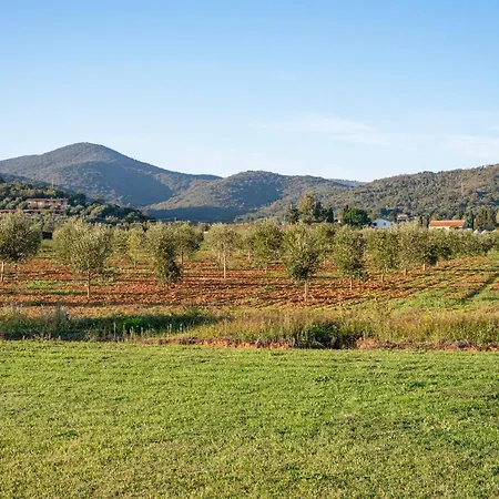 Terre Di Castiglione *