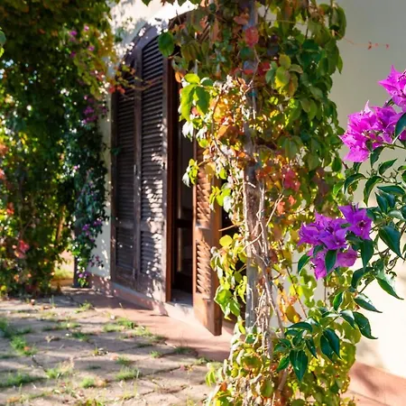 Séjour à la ferme Terre Di Castiglione *