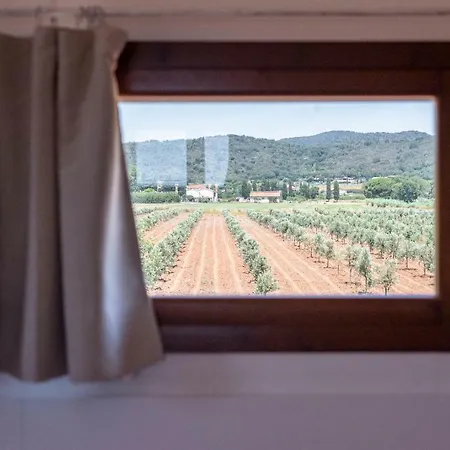 Terre Di Castiglione