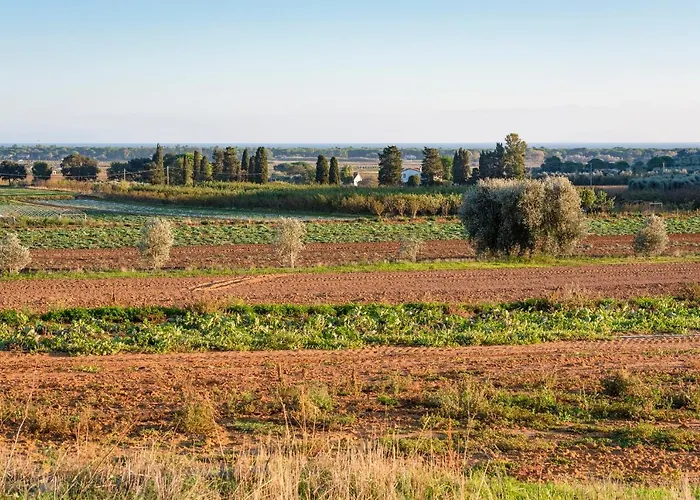 Terre Di Castiglione *