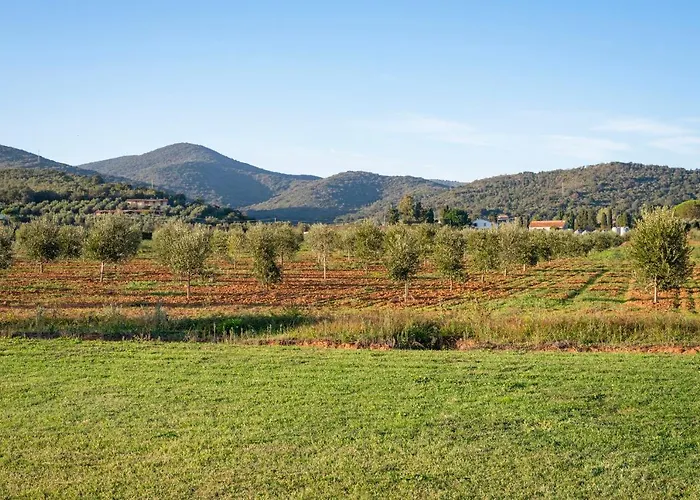Terre Di Castiglione *