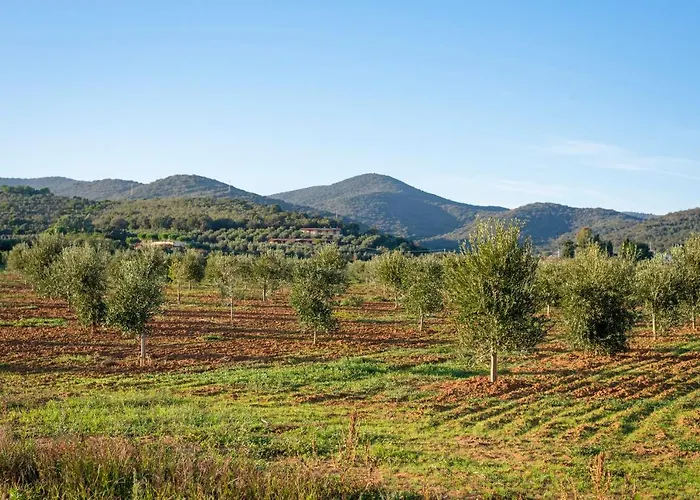 Terre Di Castiglione *