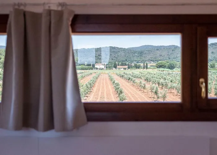 Terre Di Castiglione