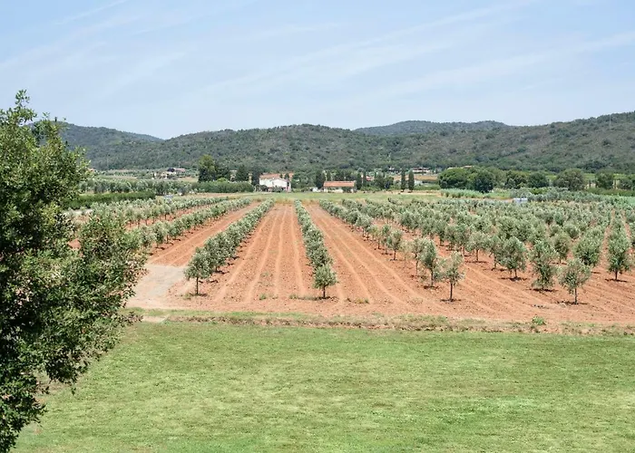 Farma Terre Di Castiglione